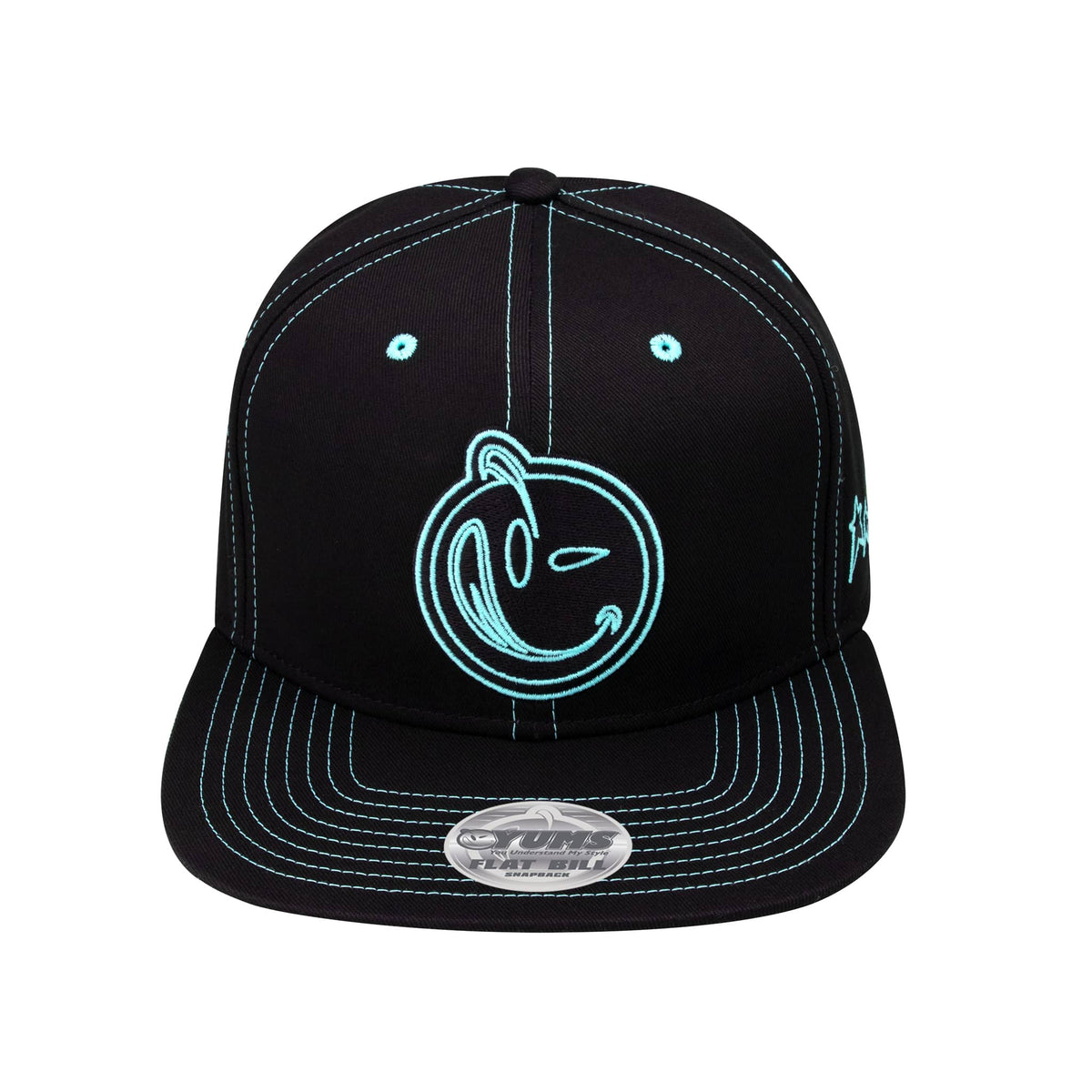 Fine Line 3.0 Snapback - Blue