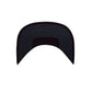 Fine Line 3.0 Snapback - Blue