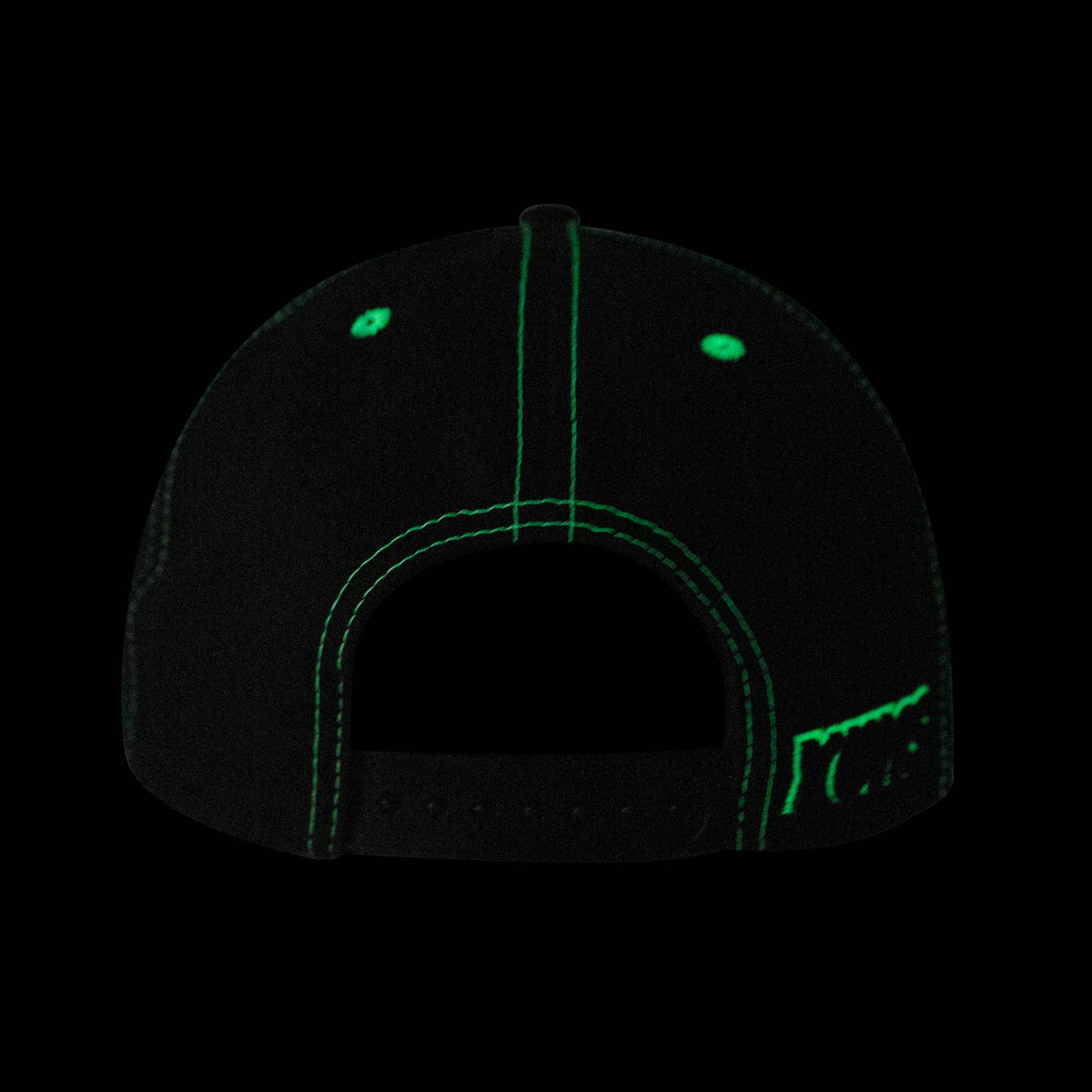 Fine Line 3.0 Snapback - Green