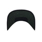 Fine Line 3.0 Snapback - Green