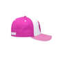 Froyo Snapback