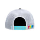 Painted Canvas Snapback